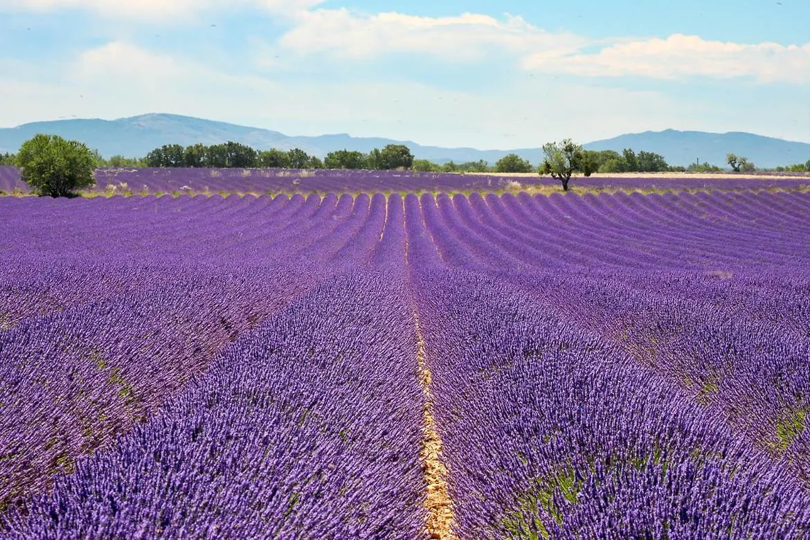 Country house Roulotte Bohemian Lover In Provence, Valensole France