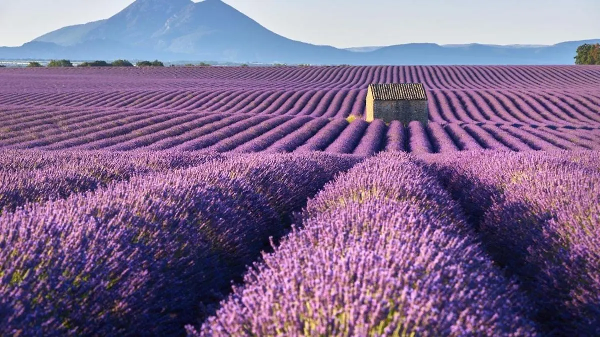 Roulotte Bohemian Lover In Provence, Valensole